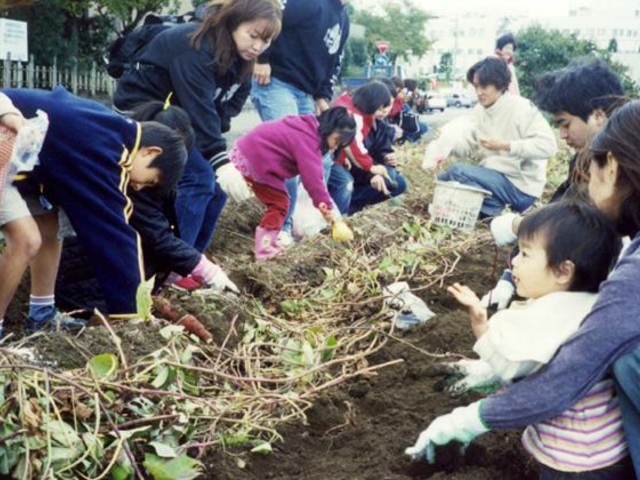 観光いもほり園