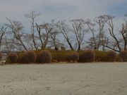 万葉歌碑の写真3