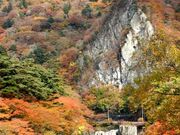 天狗岩の新緑と紅葉の写真2
