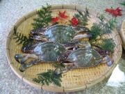 香々地沖の写真1