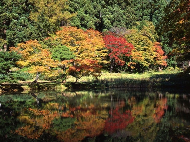 黒森山浄仙寺の紅葉の写真1