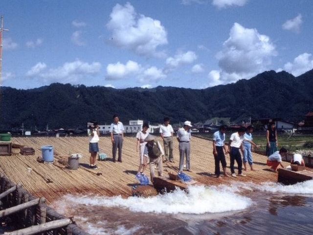 古川観光ヤナの写真1