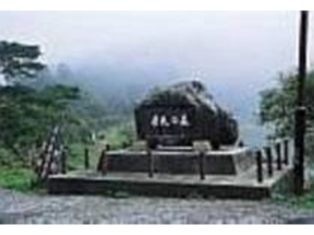 標高が高いので、深い霧に包まれることも_剣山県民の森