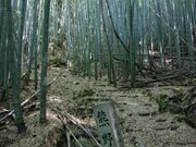 藤白坂の写真1