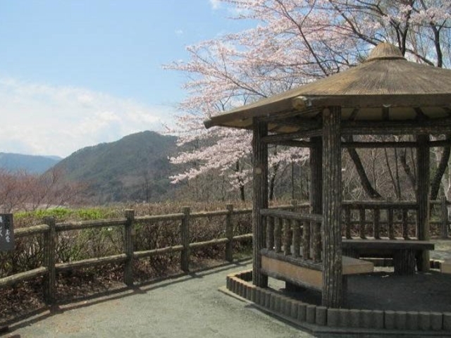 寄居山公園の写真1