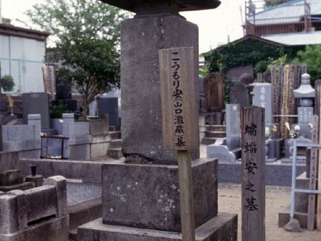 選擇寺_選擇寺