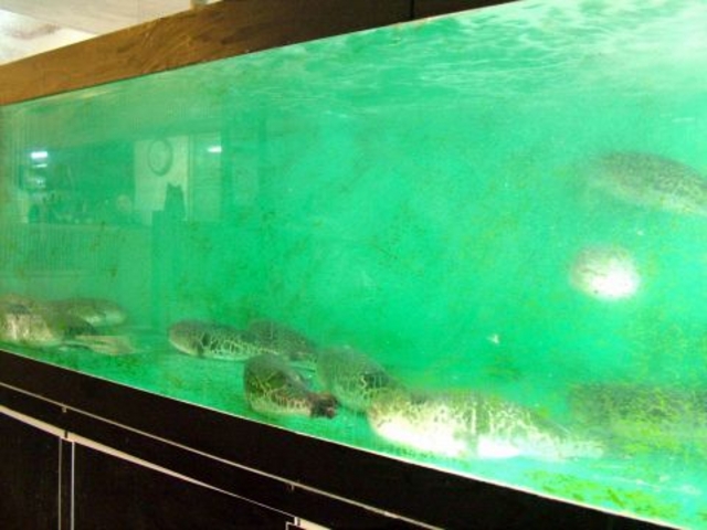 ふぐ政 三宮東店の写真1