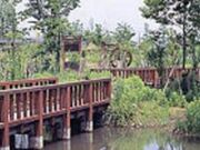 種足ふれあいの森の写真1