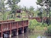 種足ふれあいの森の写真2