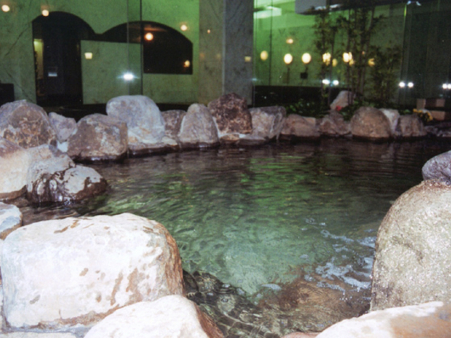 みき槙山温泉「森の湯」の写真1