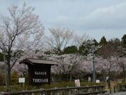 東山森林公園下米田さくらの森の写真1