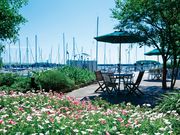 ラグナマリーナの写真3