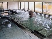 とうえい温泉「花まつりの湯」の写真1