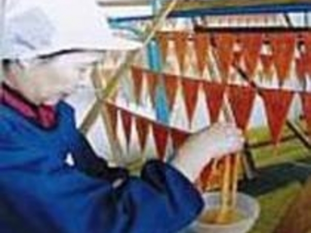 なまこの卵巣で作る二等辺三角形は芸術品_なまこや