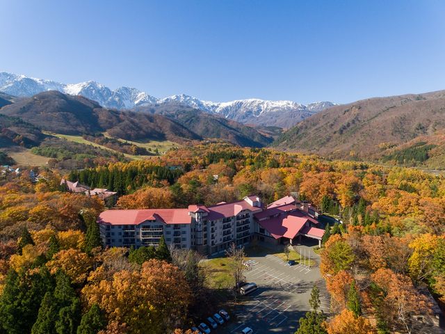 【秋の俯瞰】北アルプスの稜線に雪が積もる頃、和田野の森は紅葉で染まる(10月下旬〜11月頭)_白馬東急ホテル