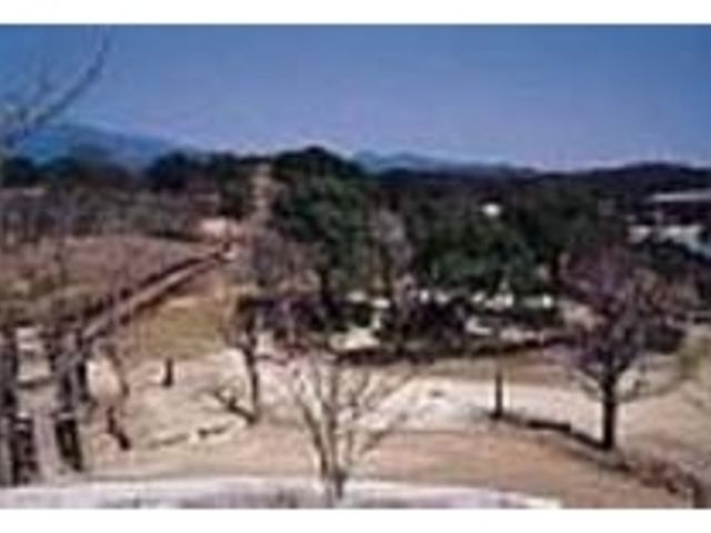 広々とした園内は散策にもぴったり!_多久市中央公園