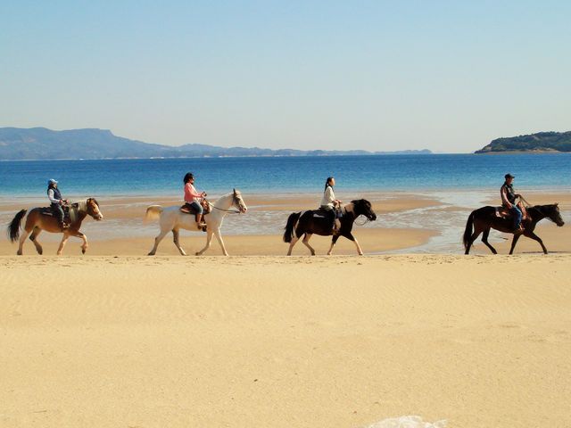 ビーチ沿いをパッカパカ潮風に吹かれる乗馬体験!_シービューランチ