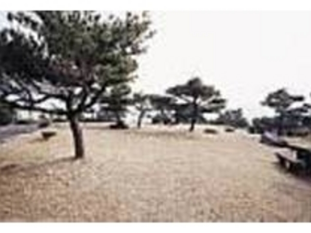 芝生のある公園にはベンチなどもある_鯛の鼻自然公園