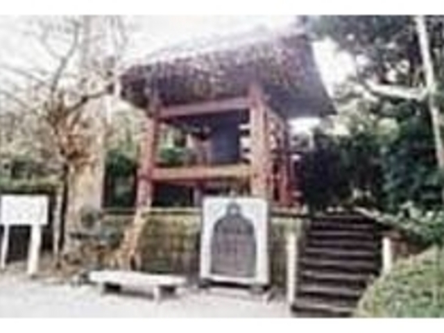 市の名木に指定されたイチョウの木(左)_本源寺