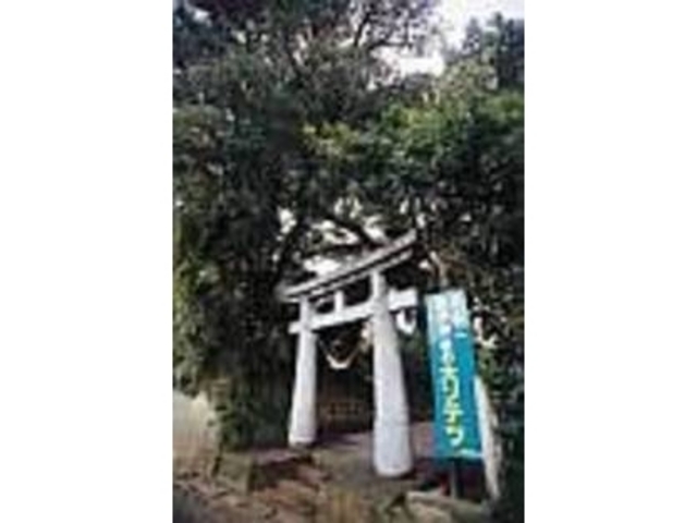 この坂井神社の鳥居と、看板が目印_坂井神社の大ソテツ