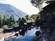 萌木の里の写真1