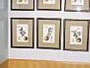 世界で一番小さなりんごの博物館の写真2