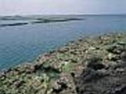 兼久海浜公園の写真1