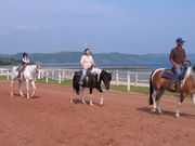 シービューランチの写真2