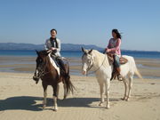 シービューランチの写真4