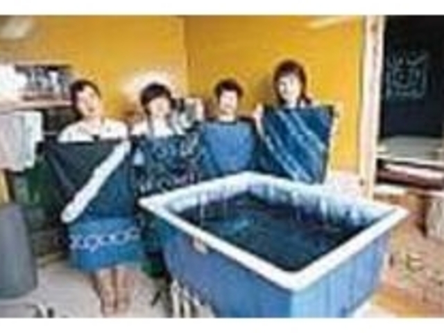 藍の美しい色合いと紋りの奥深さを知る_しかの藍工房(鹿野ゆめ本陣内)