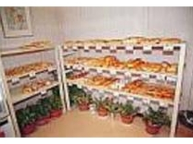 ほのぼのとした雰囲気のパン屋さん_ドレミベーカリー