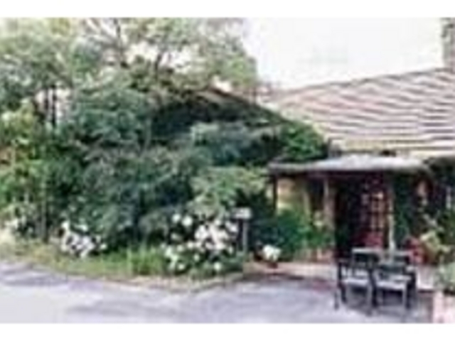 店の外壁に絡まる蔦がレトロさを演出_MA MAISON