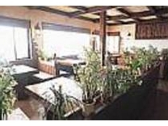 緑がいっぱいの店内は窓も大きく明るい_磯料理 かくい