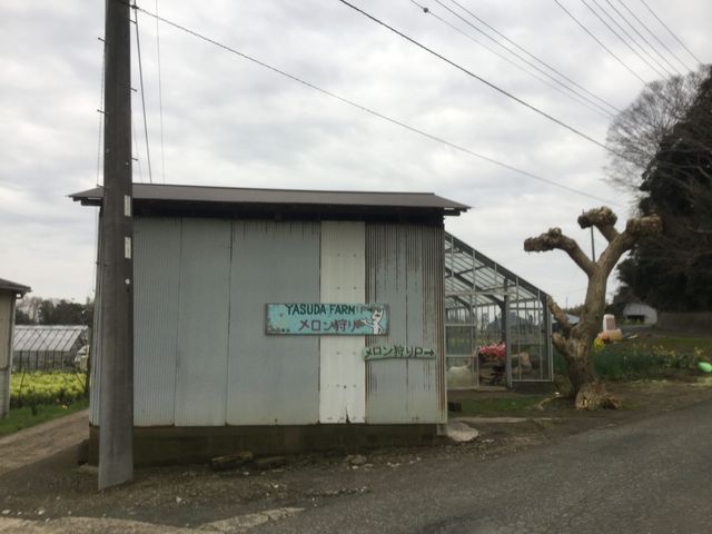 安田農園