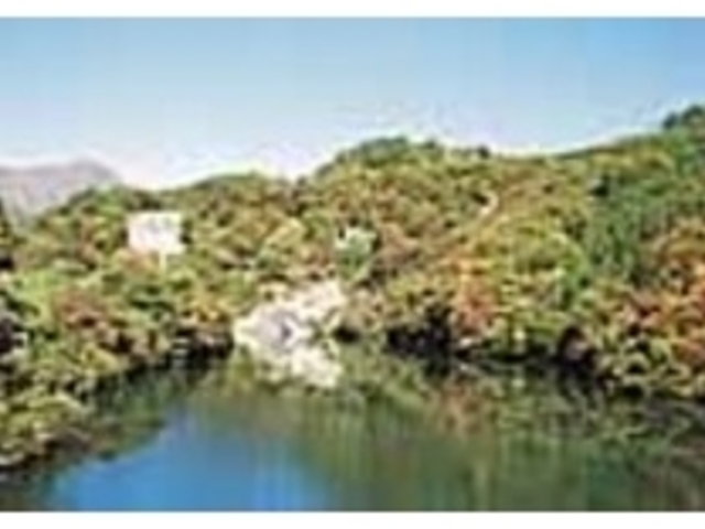 荒川沿いのR113から見た紅葉の様子_荒川峡谷(もみじライン)
