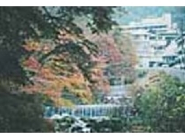 奥湯河原の紅葉風景_奥湯河原