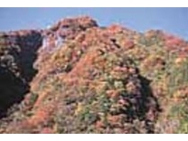 高の瀬峡の紅葉風景_高の瀬峡