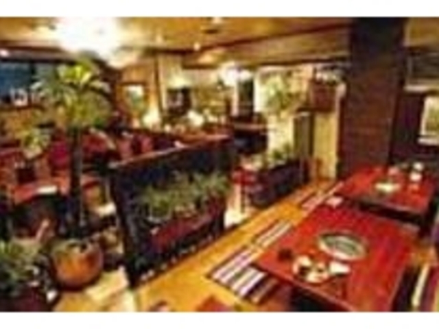 観葉植物が多く、ゆったり寛げる雰囲気_焼肉ハウス 満月苑