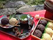 豪商 稲葉本家の写真3