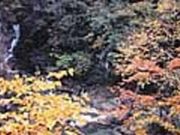 日川渓谷・竜門峡の写真1