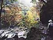 日川渓谷・竜門峡の写真2