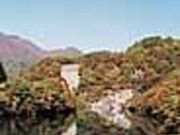 荒川峡谷(もみじライン)の写真1
