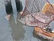 ホテル 喜楽館の写真2