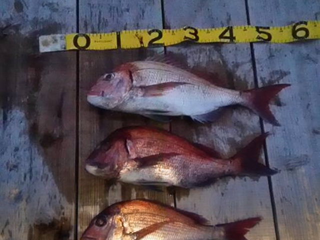 秀丸花ごころ〜絶景に心をゆだね海の恵みを食す宿〜