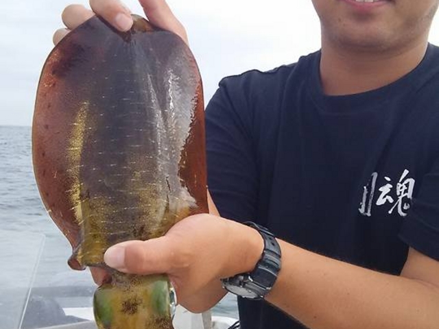 秀丸花ごころ〜絶景に心をゆだね海の恵みを食す宿〜