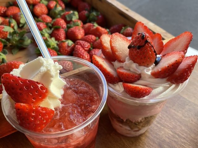 じゃらんnet いちご狩りパーク&いちごcafe久能屋