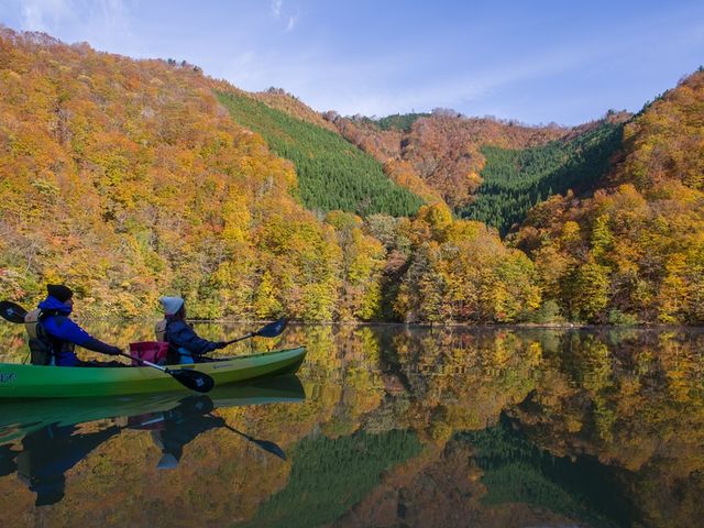 紅葉に眺めながら_ファンテイル