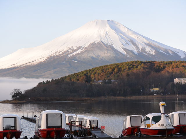 フィッシングプラザ丸一荘