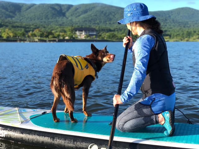 SUPで愛犬との癒しタイム!_しゅうすいや ボートハウス