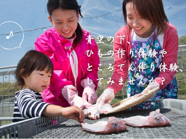 お子様でも簡単!鳴門のお魚で干物体験♪_こだわりの土産物豊田商店